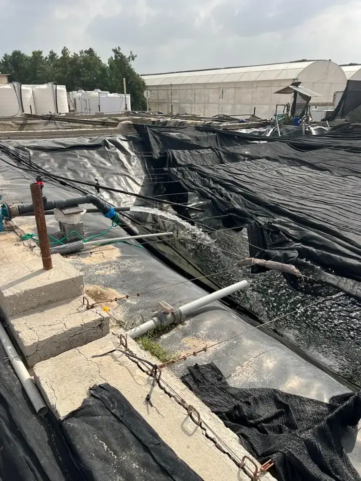 Lined treatment basin with inlet pipes at a water-treatment site